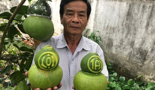 Thị trường Tết không còn mặn mà với trái cây "độc, lạ"?