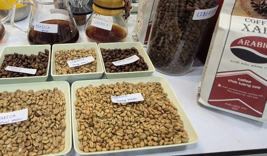 Giá cà phê hôm nay 5-1: Bất ngờ về Arabica Việt
