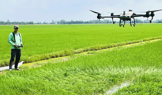 2 hoạt chất thuốc bảo vệ thực vật sắp bị cấm sử dụng tại Việt Nam