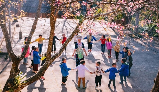 Hoa anh đào nhuộm hồng miền biên viễn xứ Nghệ