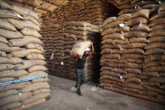 Ấn Độ vượt Trung Quốc trở thành nhà sản xuất gạo lớn nhất thế giới