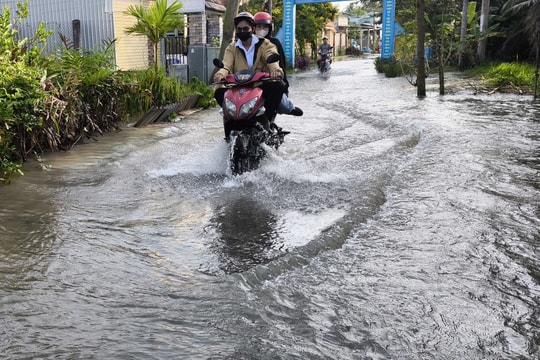 Triều cường cao trên 4m, nguy cơ ngập úng ảnh hưởng đến sản xuất nông nghiệp
