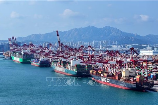 Vì sao thương mại toàn cầu vẫn đứng vững trước cơn bão thuế quan?