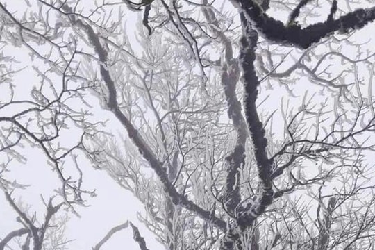 Khách run vì rét buốt dưới 0 độ C ở Cao Bằng