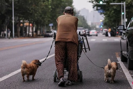 Thế hệ 'không con cái' ở Trung Quốc