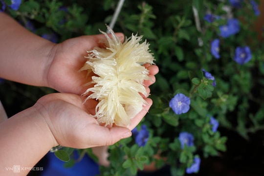 6 quả giàu chất xơ giúp giảm cân