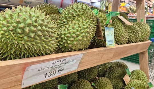 Lý do giá sầu riêng tăng 10.000 đồng/kg chỉ sau 3 ngày
