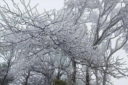 Thời tiết đêm 6/1, ngày 7/1: Xuất hiện rét hại ở một số nơi