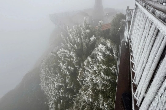 Du khách thích thú chụp ảnh với băng giá trên đỉnh Fansipan