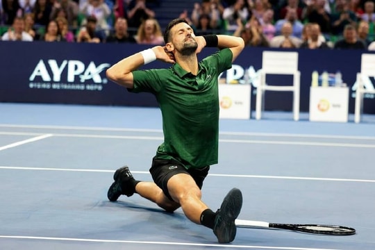 Djokovic rút khỏi giải khởi động Australia Mở rộng 2026