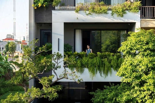 Nhà phố 120 m2 'ngoài xanh, trong ấm'