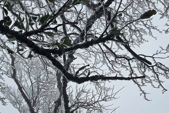 Miền Bắc rét đậm, nơi thấp nhất 2 độ C