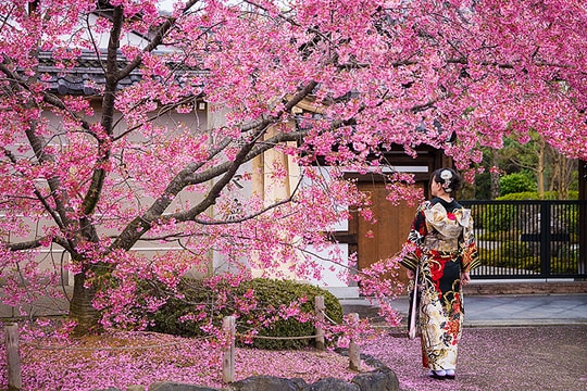 Người Việt đi Campuchia, Nhật Bản nhiều nhất năm 2025