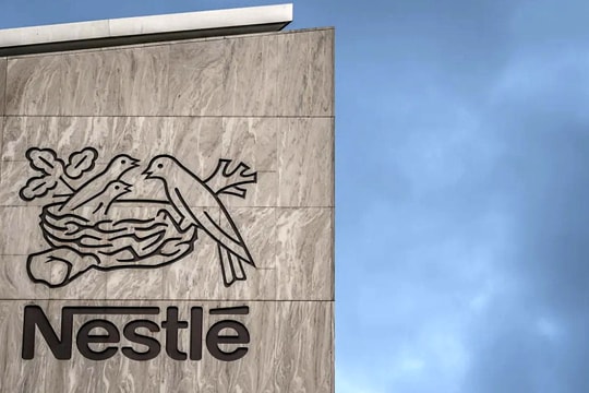 Cereulide - độc tố khiến Nestlé thu hồi sữa toàn cầu