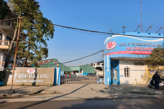 Hai tấn pate của Công ty Đồ hộp Hạ Long bị tiêu hủy vì nguyên liệu thịt lợn bệnh