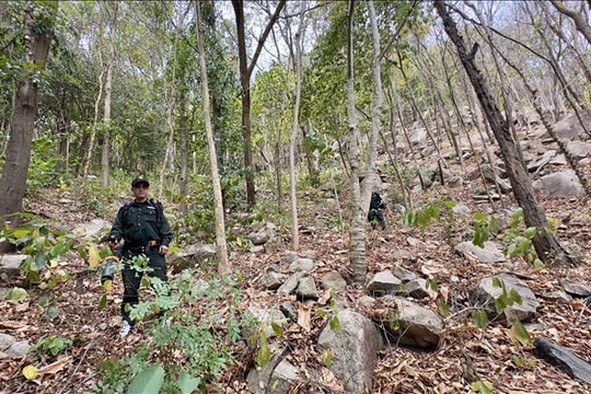 An Giang hạn chế thấp nhất thiệt hại cháy rừng mùa khô