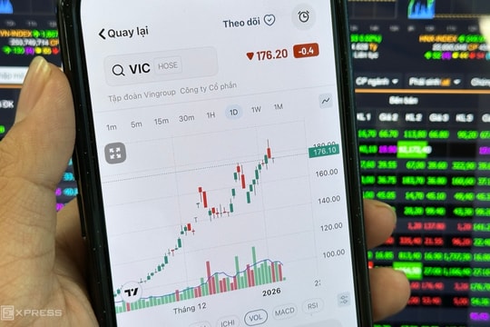 'Cá mập' PYN Elite: Lợi nhuận giảm do không mua cổ phiếu nhóm Vingroup