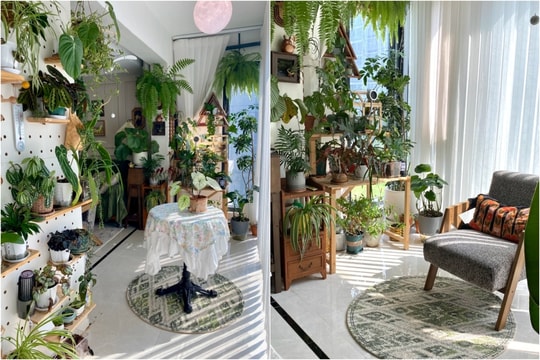 Biến ban công 10 m2 thành khu vườn nhỏ trong căn hộ 113 m2