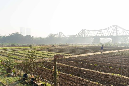 Chất lượng không khí Hà Nội trở lại mức rất xấu