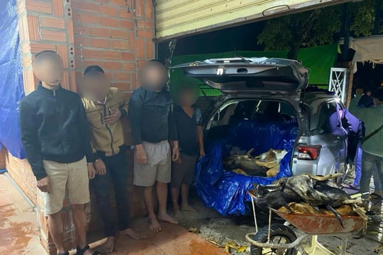 Cảnh sát đột kích 'công xưởng' giết mổ chó trộm quy mô hơn 1,6 tấn