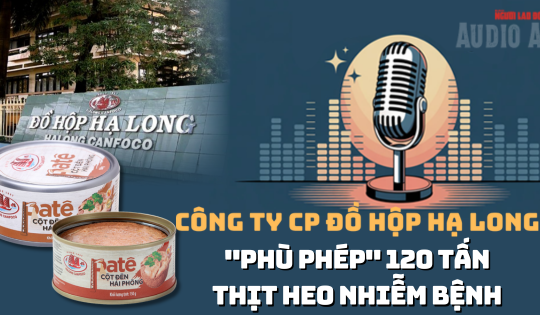[Audio] - Vụ 130 tấn thịt heo bệnh: Công ty Đồ hộp Hạ Long tự nhận là "nạn nhân"?