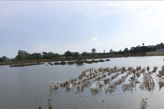 Thắp sáng niềm tin, kỳ vọng vào tương lai tươi sáng