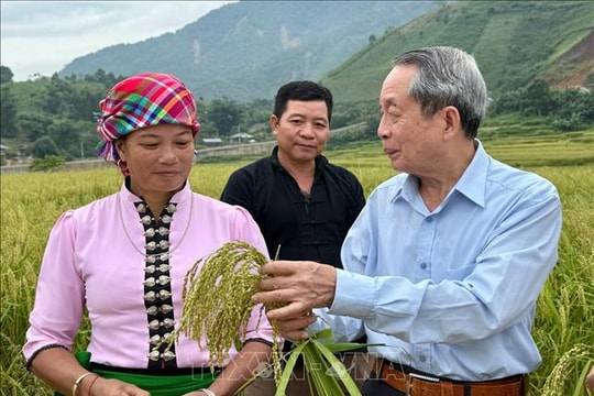 Nông nghiệp Việt Nam - Từ 'trụ đỡ' chiến lược đến kỷ nguyên mới