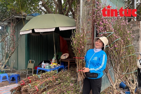 Thú chơi đào Tết sớm của người Hà Nội