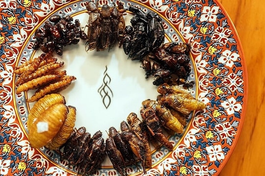 Đầu bếp Michelin khuyên ăn côn trùng