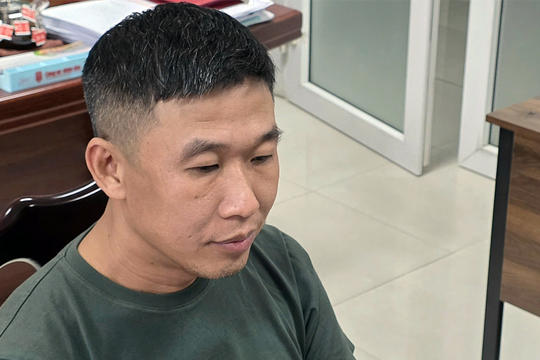 Đường dây buôn lậu tôm hùm giống, giấu trong valy qua đường hàng không