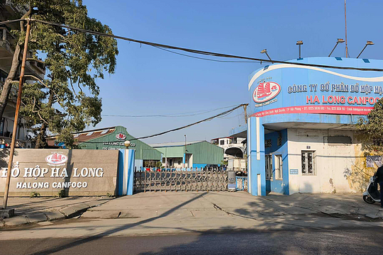 Tổng giám đốc Công ty Đồ hộp Hạ Long bị bắt trong vụ thịt heo nhiễm bệnh