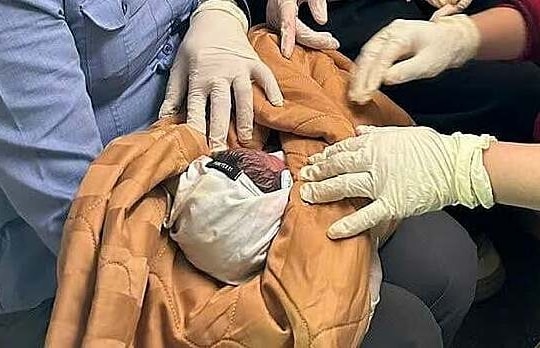 Sản phụ sinh bé trai trên tàu khách Bắc Nam