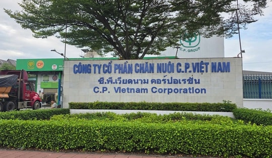 Vụ Công ty CP Chăn nuôi C.P. Việt Nam bị tố bán heo bệnh: Xem xét chuyển Bộ Công an điều tra