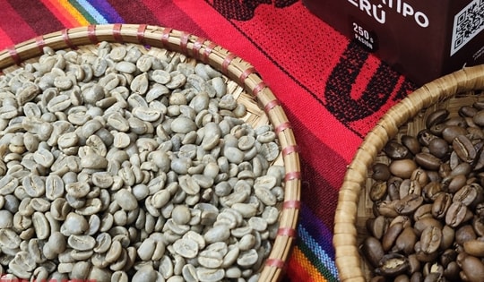 Giá cà phê hôm nay 11-1: Giảm, cà phê ngoại đổ về Việt Nam nhiều