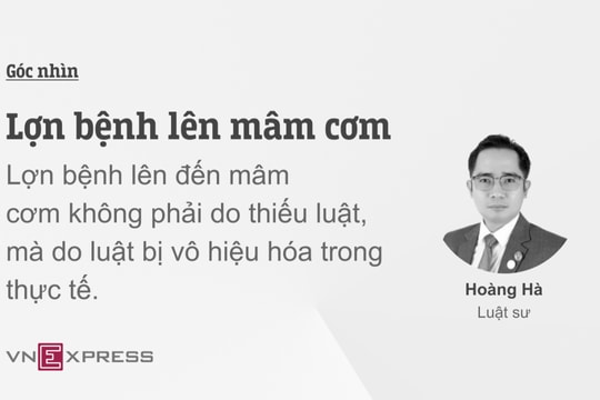 Lợn bệnh lên mâm cơm