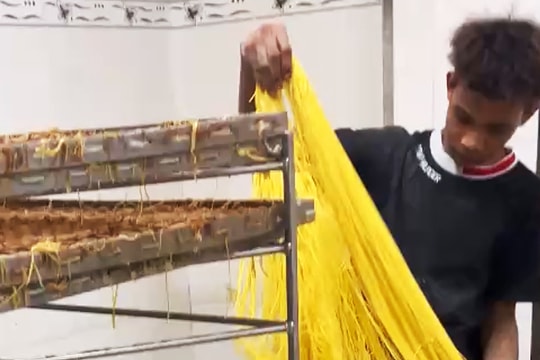 Chủ lò sản xuất 800 tấn mì tươi trộn hàn the ở TP HCM bị bắt