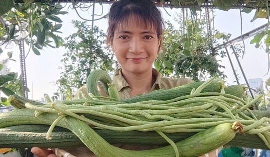 Khởi nghiệp online với cây giống, hoa kiểng Tết