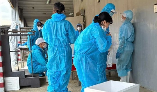 Sau vụ Công ty đồ hộp Hạ Long nhập hơn 130 tấn thịt nhiễm bệnh, Hải Phòng siết nguồn gốc thực phẩm