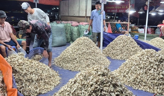 Cận cảnh khu chợ kiệu Tết lớn nhất TPHCM