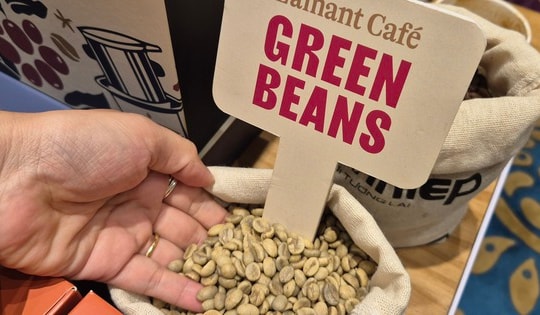 Giá cà phê hôm nay 12-1: Điểm danh những "ông lớn" xuất khẩu