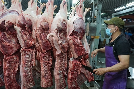 TP Hồ Chí Minh tăng cường kiểm soát giết mổ, bảo vệ an toàn thực phẩm Tết