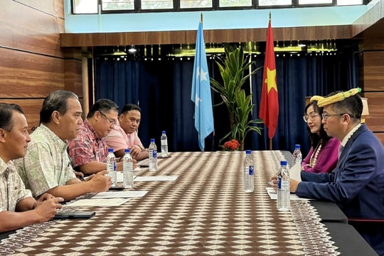 Quan hệ Việt Nam - Micronesia còn nhiều dư địa và tiềm năng phát triển