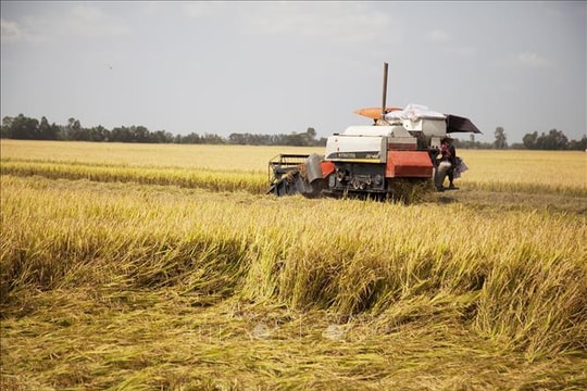 Mỹ tăng cường xúc tiến thương mại nông nghiệp với Việt Nam và một số nước