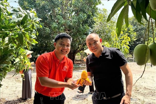 Du lịch Khánh Hòa trong không gian phát triển mới - Bài 2: Quà quê xây nên thương hiệu