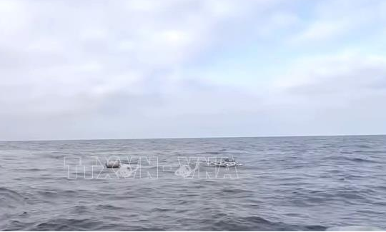 Cứu hộ thành công tàu vận tải gặp nạn trên biển