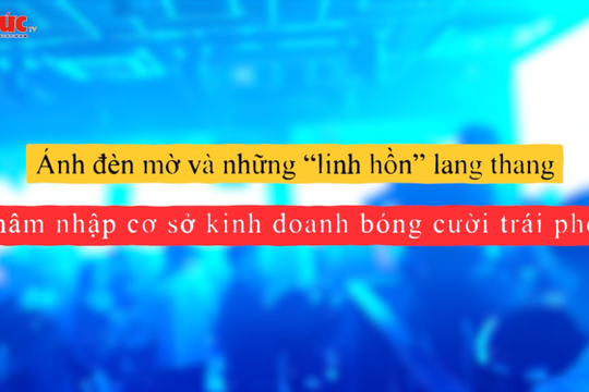 Hiểm hoạ bóng cười - Phóng sự 1: Thâm nhập tụ điểm sử dụng, kinh doanh bóng cười trái phép