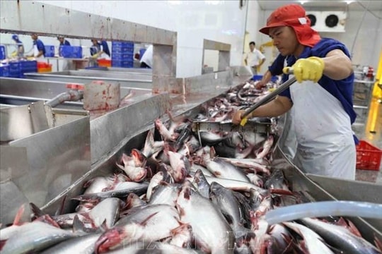 Chuẩn hóa quy tắc xuất xứ AANZFTA, bảo đảm thực thi thống nhất