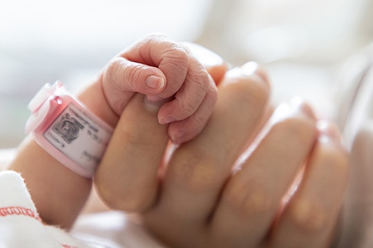 Hạnh phúc của những người mẹ tìm con qua tinh trùng hiến tặng