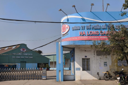 Đồ hộp Hạ Long vẫn trả lương công nhân khi dừng sản xuất