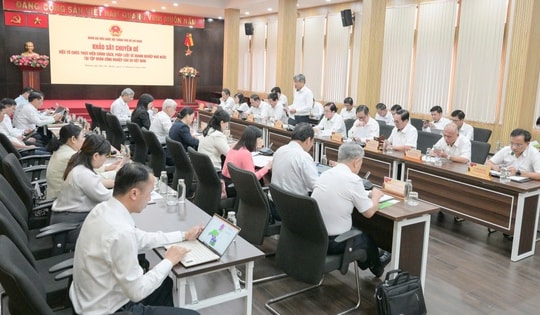 Đoàn Đại biểu Quốc hội TPHCM khảo sát tại Tập đoàn Công nghiệp Cao su Việt Nam